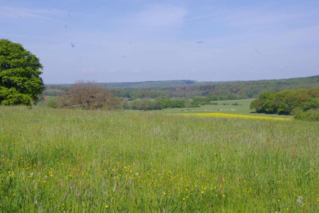 La-Haut, Gite-Maison De Vacances Poinson-les-Fayl Exteriör bild